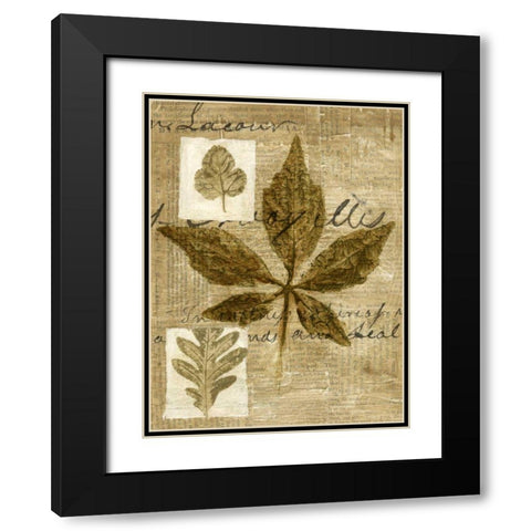 Leaf Collage III Black Modern Wood Framed Art Print with Double Matting by Archie, K.