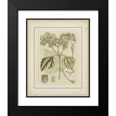 Small Tinted Botanical IV Black Modern Wood Framed Art Print with Double Matting by Curtis