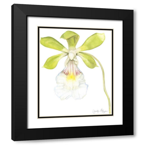 Small Orchid Beauty I Black Modern Wood Framed Art Print with Double Matting by Goldberger, Jennifer