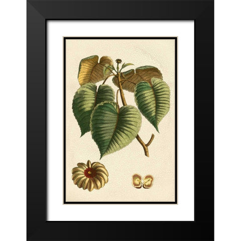 Small Seasonal Foliage I Black Modern Wood Framed Art Print with Double Matting by Vision Studio