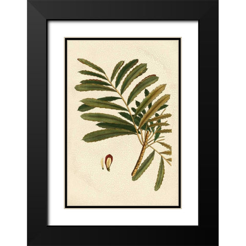 Small Seasonal Foliage II Black Modern Wood Framed Art Print with Double Matting by Vision Studio