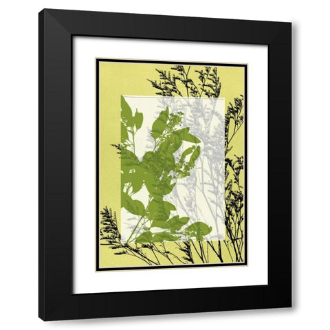 Small Translucent Wildflowers III Black Modern Wood Framed Art Print with Double Matting by Goldberger, Jennifer