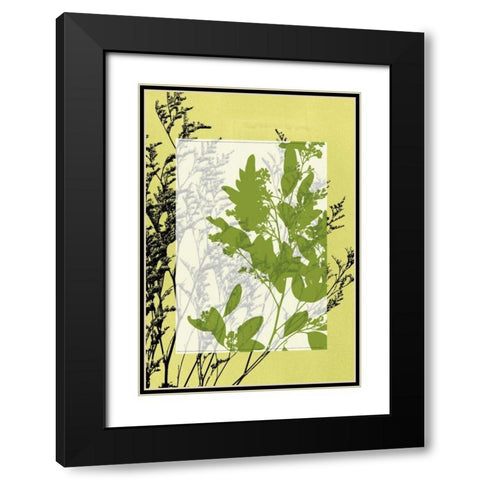 Small Translucent Wildflowers IV Black Modern Wood Framed Art Print with Double Matting by Goldberger, Jennifer