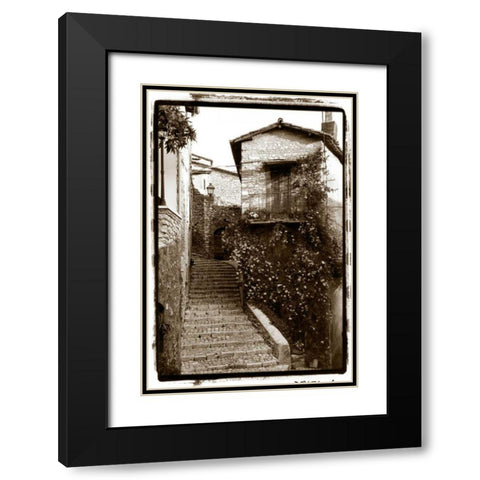 Daybreak Fragrance Black Modern Wood Framed Art Print with Double Matting by DeNardo, Laura
