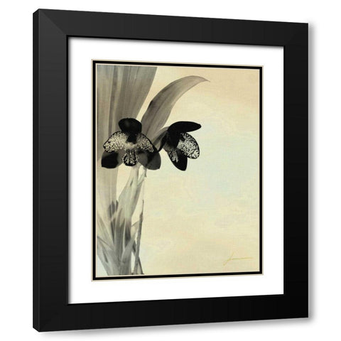 Orchid Blush Panels I Black Modern Wood Framed Art Print with Double Matting by Burghardt, James