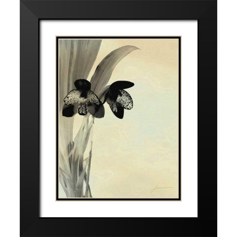 Orchid Blush Panels I Black Modern Wood Framed Art Print with Double Matting by Burghardt, James