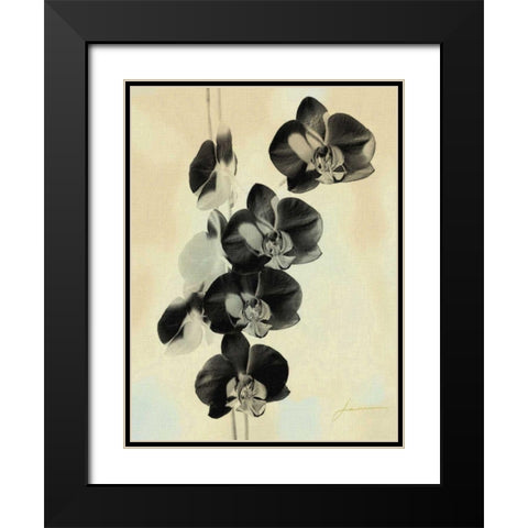 Orchid Blush Panels III Black Modern Wood Framed Art Print with Double Matting by Burghardt, James