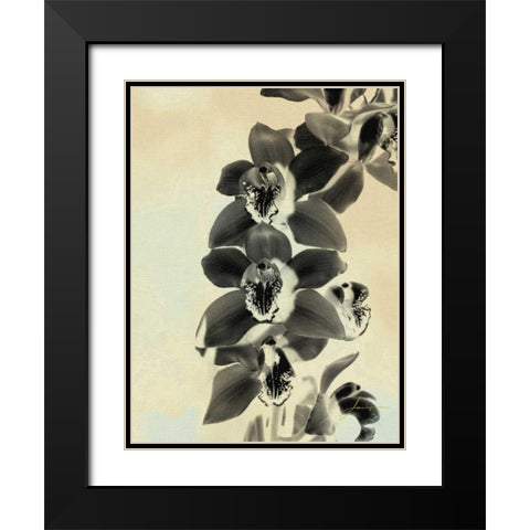 Orchid Blush Panels IV Black Modern Wood Framed Art Print with Double Matting by Burghardt, James