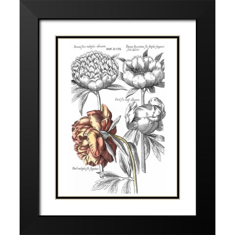 Tinted Floral I Black Modern Wood Framed Art Print with Double Matting by Besler, Basilius