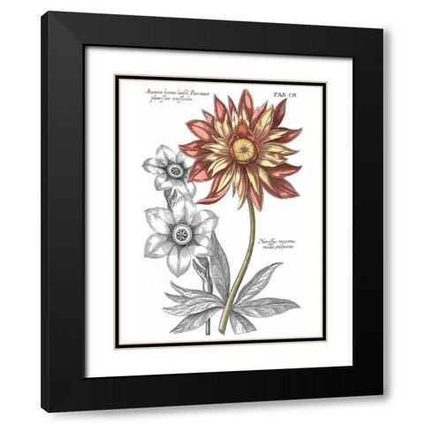Tinted Floral III Black Modern Wood Framed Art Print with Double Matting by Besler, Basilius