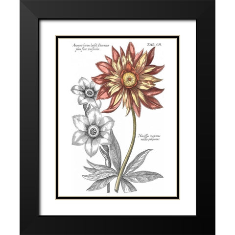 Tinted Floral III Black Modern Wood Framed Art Print with Double Matting by Besler, Basilius