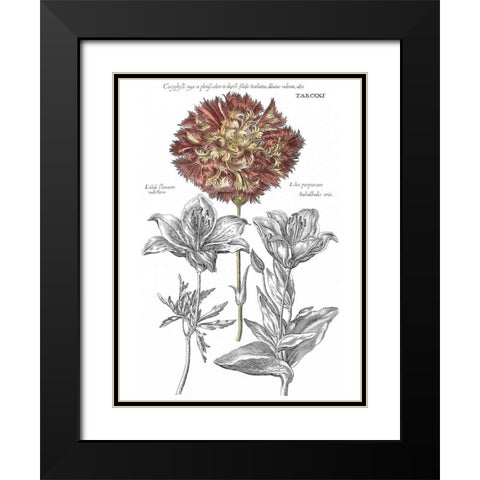 Tinted Floral IV Black Modern Wood Framed Art Print with Double Matting by Besler, Basilius