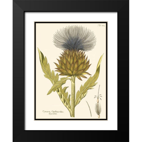 Cardon, Pl. 461 Black Modern Wood Framed Art Print with Double Matting by Unknown