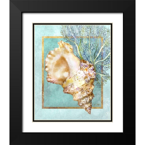 Conch Shell and Coral Black Modern Wood Framed Art Print with Double Matting by Schory, Lori