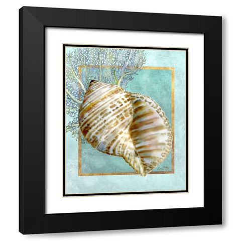 Turban Shell and Coral Black Modern Wood Framed Art Print with Double Matting by Schory, Lori