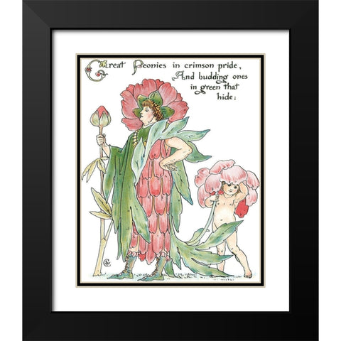 Shakespeares Garden V (Peony) Black Modern Wood Framed Art Print with Double Matting by Crane, Walter