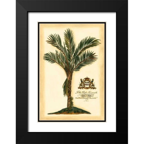 British Colonial Palm IV Black Modern Wood Framed Art Print with Double Matting by Vision Studio
