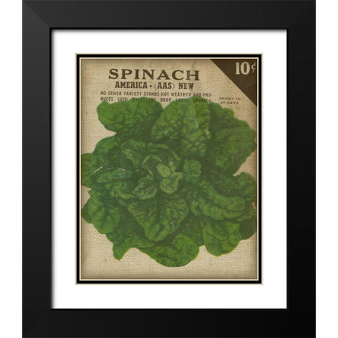 Heirloom Variety VI Black Modern Wood Framed Art Print with Double Matting by Fagalde, Jarman