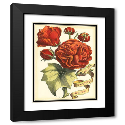 Ribbon Florals III Black Modern Wood Framed Art Print with Double Matting by Vision Studio