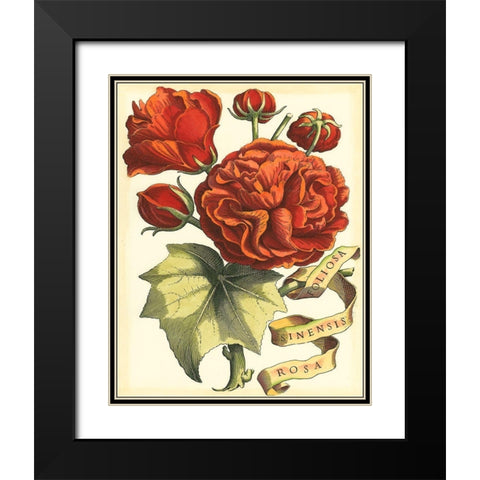 Ribbon Florals III Black Modern Wood Framed Art Print with Double Matting by Vision Studio