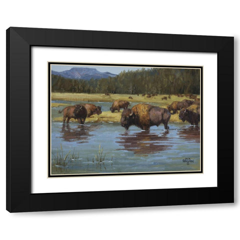 Buffalo Crossing Black Modern Wood Framed Art Print with Double Matting by Sorenson, Jack