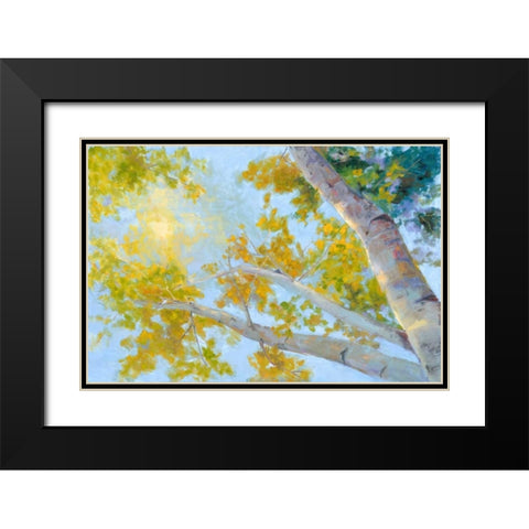 Aspen Canopy Black Modern Wood Framed Art Print with Double Matting by Oleson, Nanette