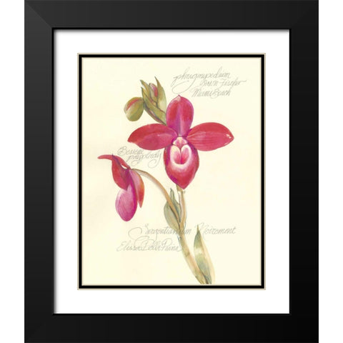 Elissas Garden II Black Modern Wood Framed Art Print with Double Matting by Della-Piana, Elissa