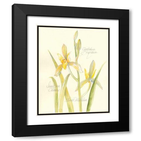Elissas Garden IV Black Modern Wood Framed Art Print with Double Matting by Della-Piana, Elissa
