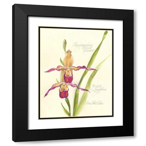 Elissas Garden VII Black Modern Wood Framed Art Print with Double Matting by Della-Piana, Elissa