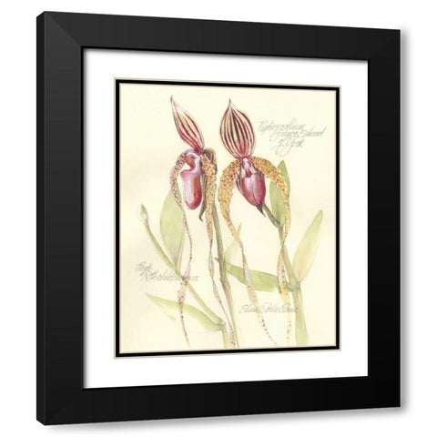 Elissas Garden VIII Black Modern Wood Framed Art Print with Double Matting by Della-Piana, Elissa