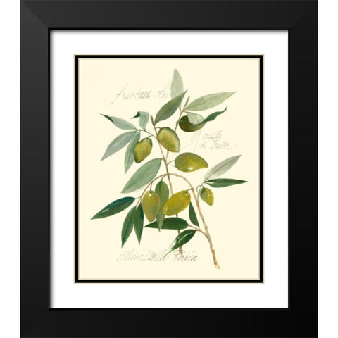 Ascolane Olives Black Modern Wood Framed Art Print with Double Matting by Della-Piana, Elissa