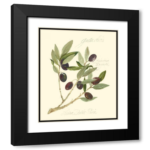 Gaeta Olives Black Modern Wood Framed Art Print with Double Matting by Della-Piana, Elissa