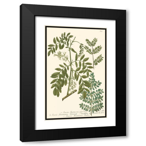 Weinmann Leaves I Black Modern Wood Framed Art Print with Double Matting by Weinmann