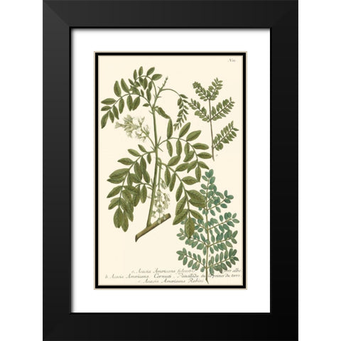 Weinmann Leaves I Black Modern Wood Framed Art Print with Double Matting by Weinmann
