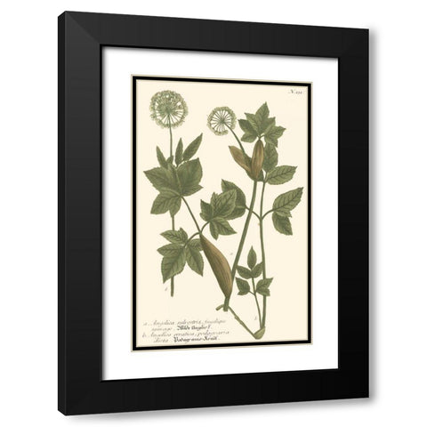 Weinmann Leaves IV Black Modern Wood Framed Art Print with Double Matting by Weinmann