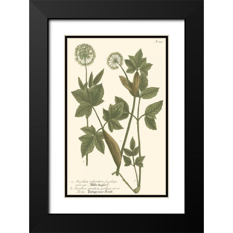 Weinmann Leaves IV Black Modern Wood Framed Art Print with Double Matting by Weinmann