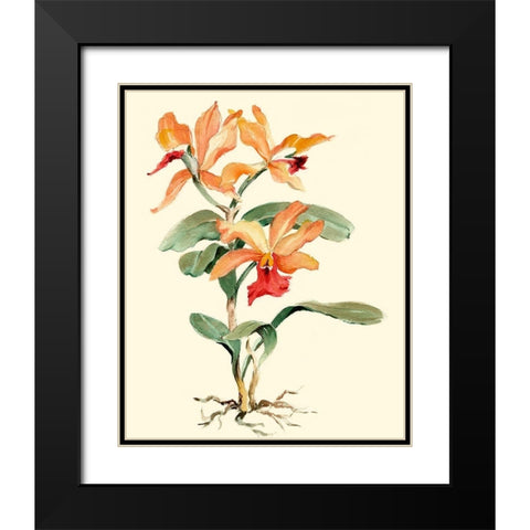 Orange Orchid Black Modern Wood Framed Art Print with Double Matting by Waldman, Joy