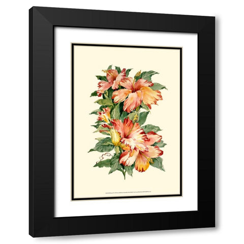 Hibiscus II Black Modern Wood Framed Art Print with Double Matting by Waldman, Joy