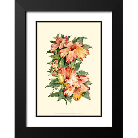 Hibiscus II Black Modern Wood Framed Art Print with Double Matting by Waldman, Joy