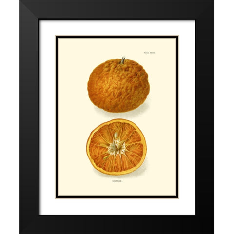 Orange Black Modern Wood Framed Art Print with Double Matting by Unknown