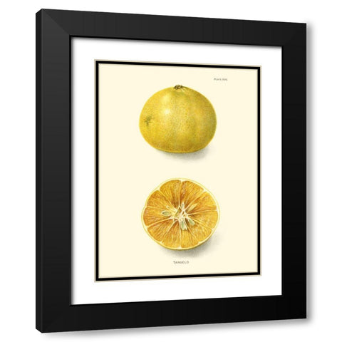 Tangelo Black Modern Wood Framed Art Print with Double Matting by Unknown