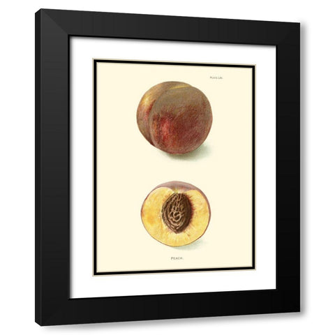 Peach Black Modern Wood Framed Art Print with Double Matting by Unknown