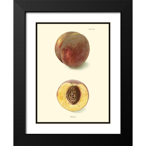 Peach Black Modern Wood Framed Art Print with Double Matting by Unknown