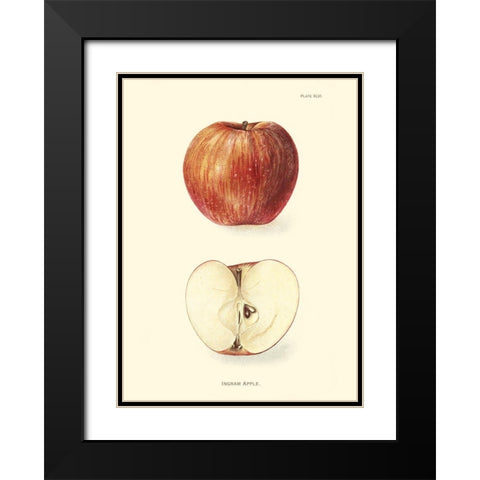 Apple II Black Modern Wood Framed Art Print with Double Matting by Unknown