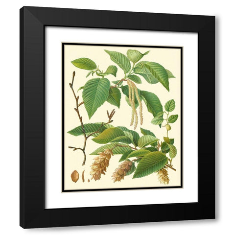 Pinecones and Foliage I Black Modern Wood Framed Art Print with Double Matting by Vision Studio
