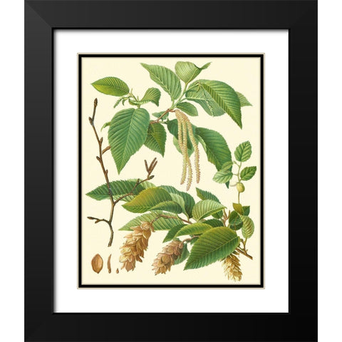 Pinecones and Foliage I Black Modern Wood Framed Art Print with Double Matting by Vision Studio