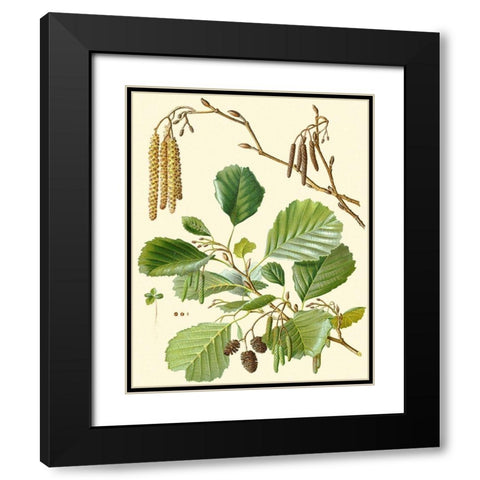 Pinecones and Foliage II Black Modern Wood Framed Art Print with Double Matting by Vision Studio