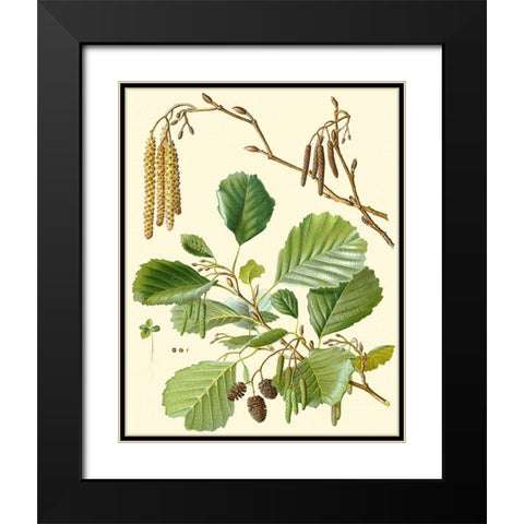 Pinecones and Foliage II Black Modern Wood Framed Art Print with Double Matting by Vision Studio