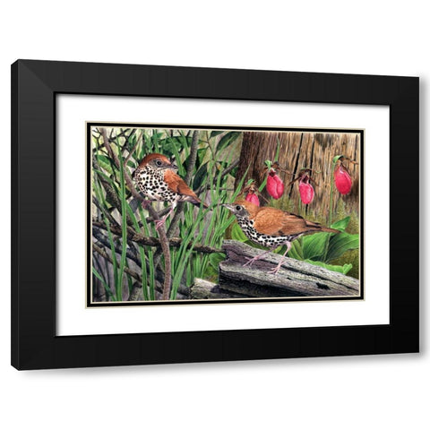 Thrush Black Modern Wood Framed Art Print with Double Matting by Dornish, Al