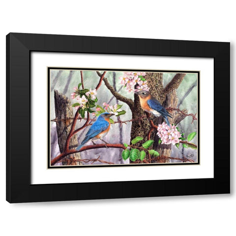Bluebirds Black Modern Wood Framed Art Print with Double Matting by Dornish, Al
